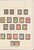 Lot 1335 (6)