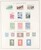 Lot 1095 (65)