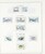 Lot 1095 (117)