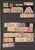 Lot 1009 (28)