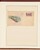 Kavel 1348 (182)