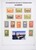 Lot 1058 (32)