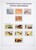 Lot 1058 (41)