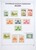 Lot 1058 (134)
