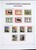 Lot 1058 (229)
