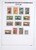 Lot 1058 (309)