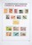 Lot 1058 (365)