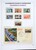 Lot 1058 (647)