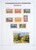 Lot 1058 (1262)
