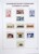 Lot 1058 (1438)