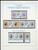 Kavel 1217 (427)