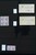 Kavel 1314 (546)
