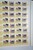 Lot 1313 (299)