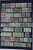 Lot 1315 (12)