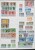 Lot 1175 (11)