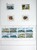 Kavel 1307 (81)