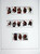 Kavel 1307 (100)