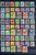 Lot 1195 (12)