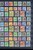 Lot 1195 (13)