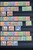 Lot 1195 (26)