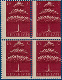Lot 4339
