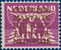 Lot 4599 (2)