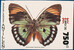 Kavel 3108 (2)
