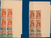 Lot 3117