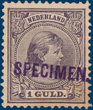 Kavel 5388