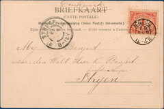 Lot 2878