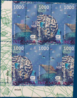 Kavel 5857