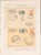 Lot 3614 (39)