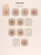 Kavel 4402 (6)
