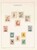 Kavel 4437 (45)