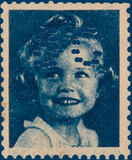 Kavel 2784