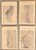 Kavel 4204 (60)
