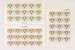 Kavel 3304 (6)