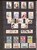 Kavel 3237 (170)
