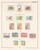 Lot 3183 (40)