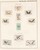 Lot 3183 (334)