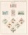 Lot 3183 (337)