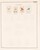 Lot 3183 (1369)