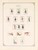 Kavel 3361 (188)
