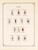 Kavel 3361 (195)