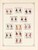 Kavel 3361 (196)