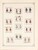 Kavel 3361 (199)