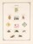 Kavel 3361 (217)