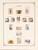 Kavel 3361 (227)