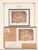 Kavel 3361 (251)