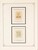 Kavel 3361 (398)